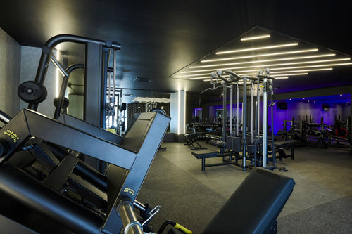 Top Performance Workout Plan